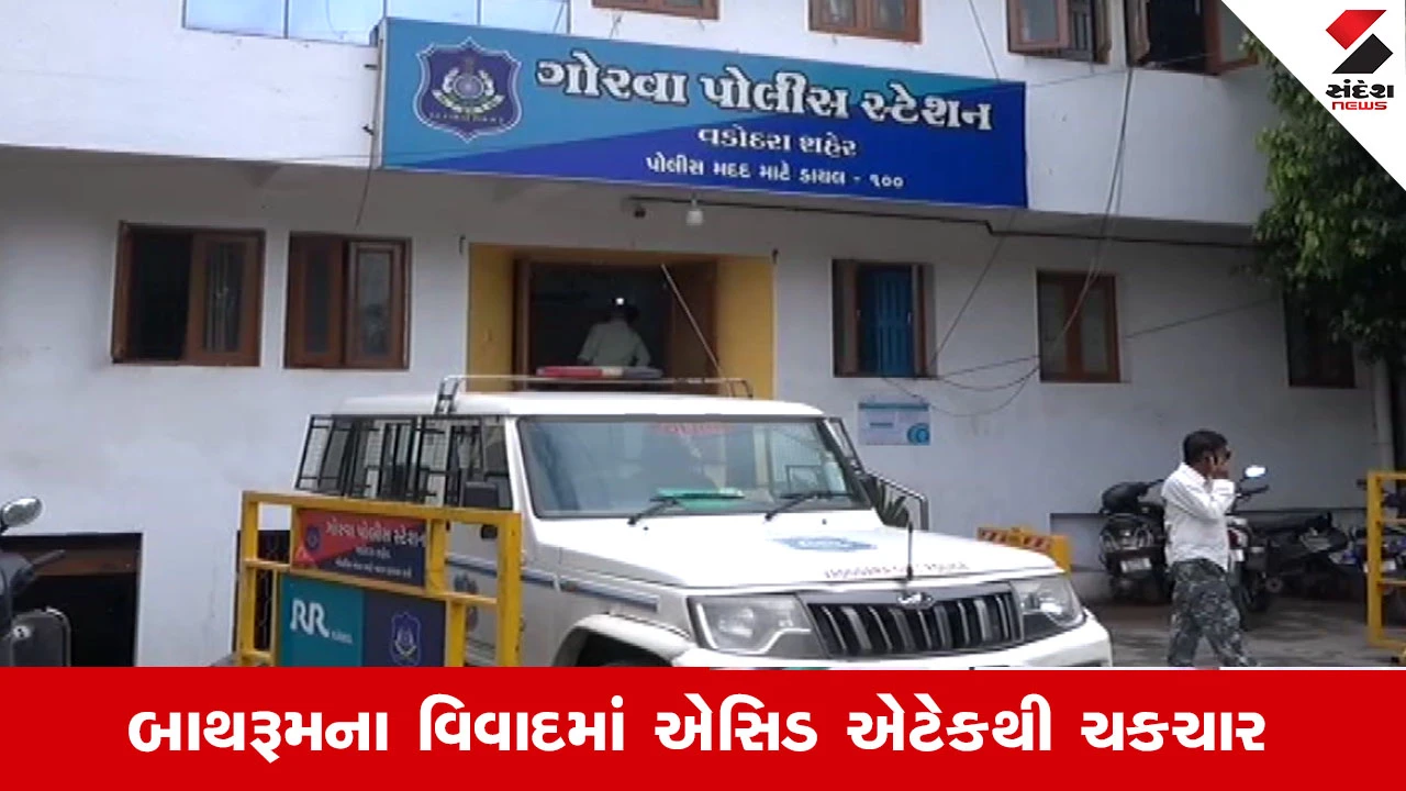 Vadodara News: બાથરૂમ સાફ નહીં કરતા સાસુ ઉશ્કેરાઈ, પુત્રવધુના મોંઢા પર એસિડ ફેંક્યો