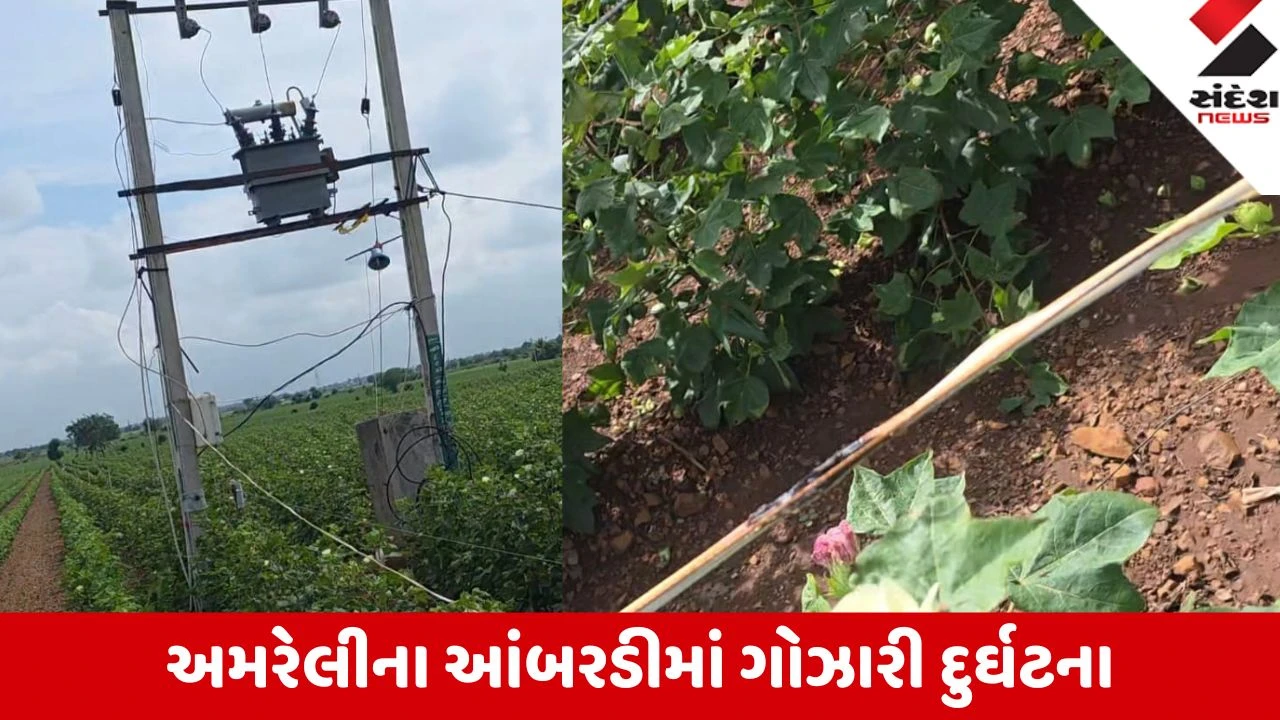 Amreli: લાઠીના આંબરડી ગામની વાડીમાં વીજકરંટથી 2 સગા ભાઈ-બહેનના કરુણ મોત, મજૂર પરિવારમાં અરેરાટી