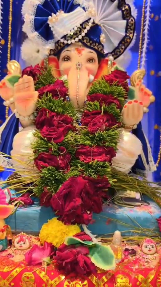 મિષ્ટી પ્રતીક કેડિયા, અમદાવાદ