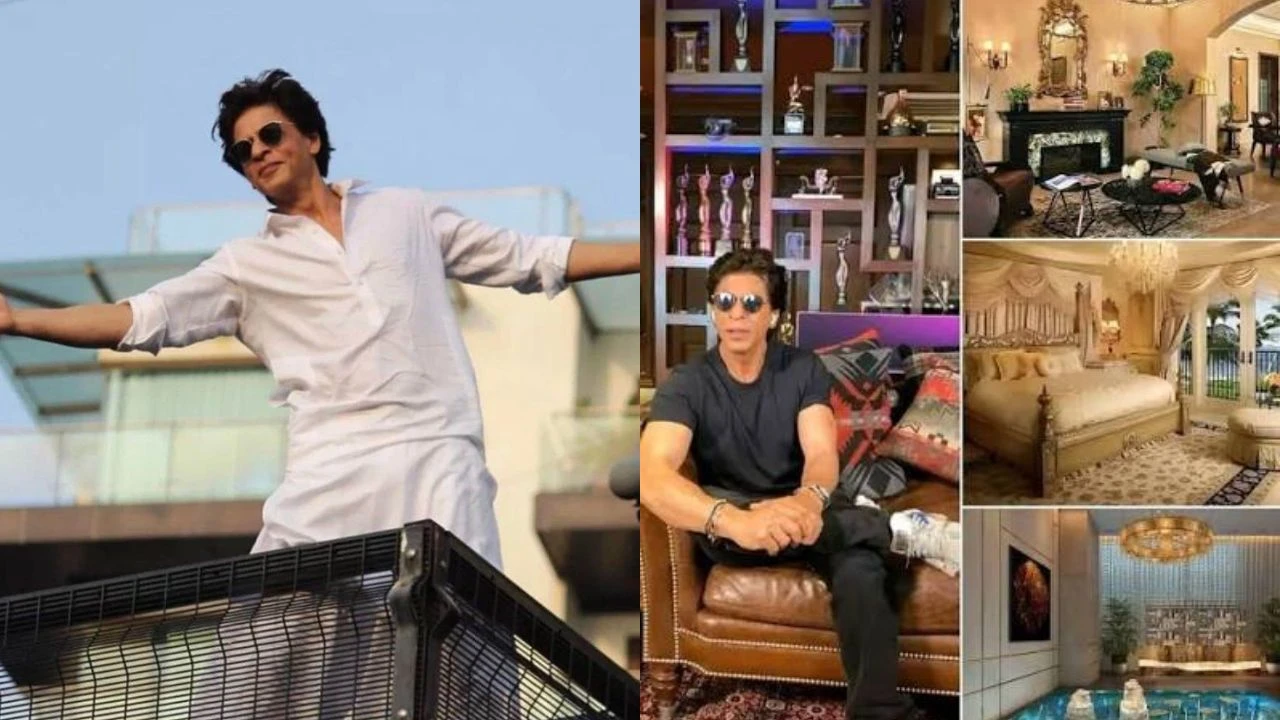 Shah Rukh Khan (4)