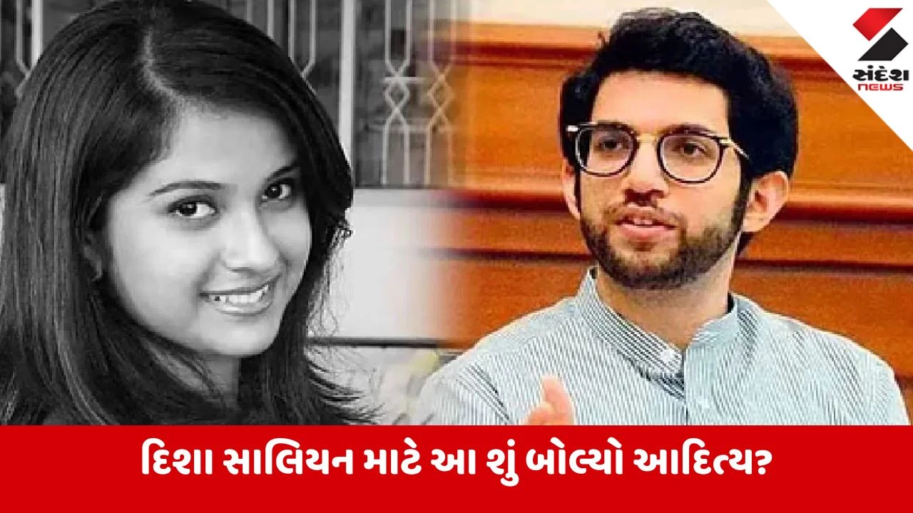 હું તેને ઓળખતો પણ નથી... દિશા સાલિયન કેસમાં આદિત્ય ઠાકરેનું પહેલું નિવેદન