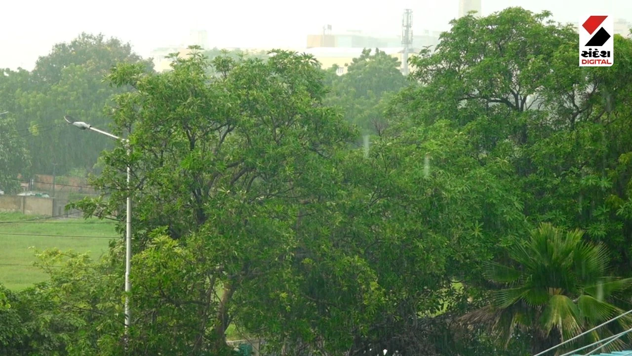 Ahmedabad Rain Update: Downpour Reported in Several Areas