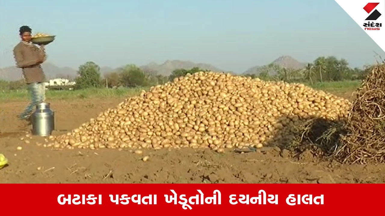 Banaskantha News: બજારમાં બટાકાના પૂરતા ભાવ નહીં મળતાં ખેડૂતોને મોટું નુકસાન, જાણો શું માગ કરી?