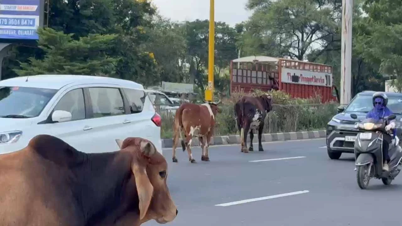 Traffic disruption on Ahmedabad SG Highway