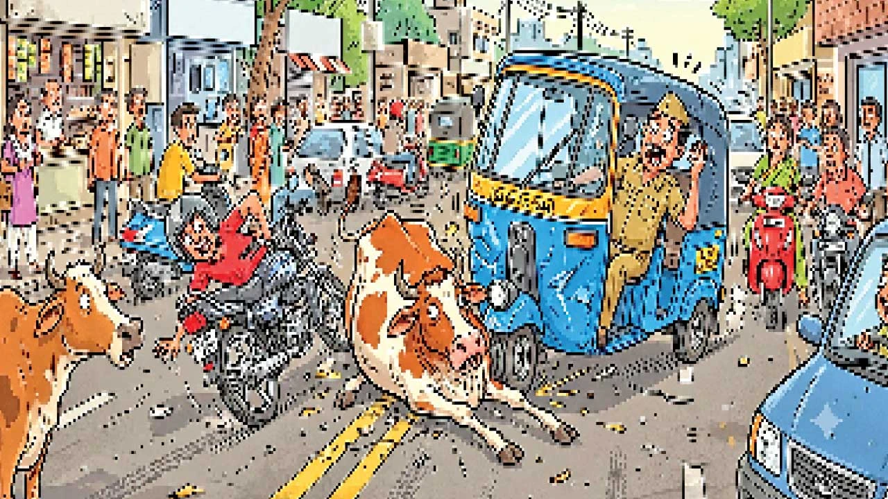 Vadodara: સમા વિસ્તારમાં ચાલતા જઈ રહેલા યુવકના રસ્તામાં ઢોર આવતા પટકાયો