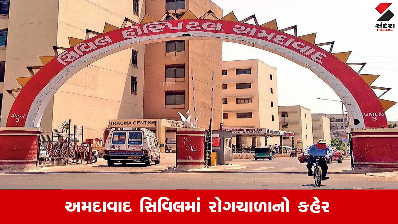 Ahmedabad News: શહેરમાં ડેન્ગ્યુના કેસોમાં ચિંતાજનક વધારો, શરદી અને ખાંસી સાથે વાયરલ ફિવરનો કહેર