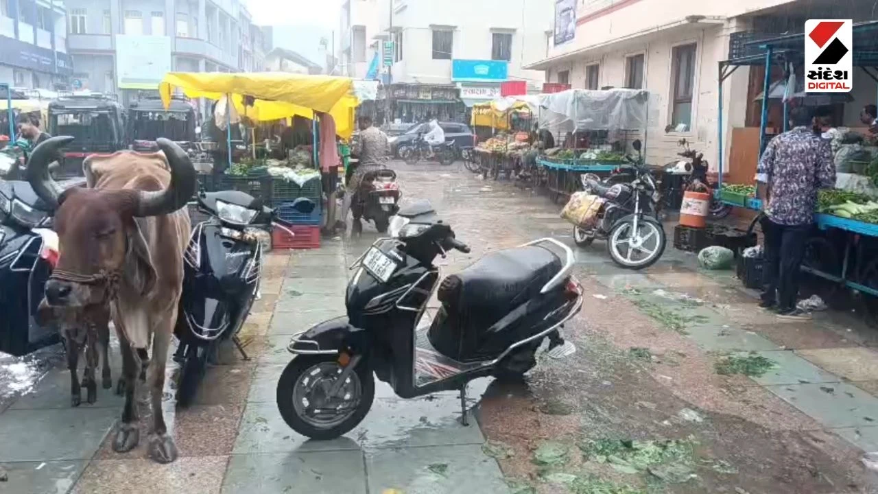 Dwarka Rain Update: Heavy Downpour Causes Waterlogging & Joy