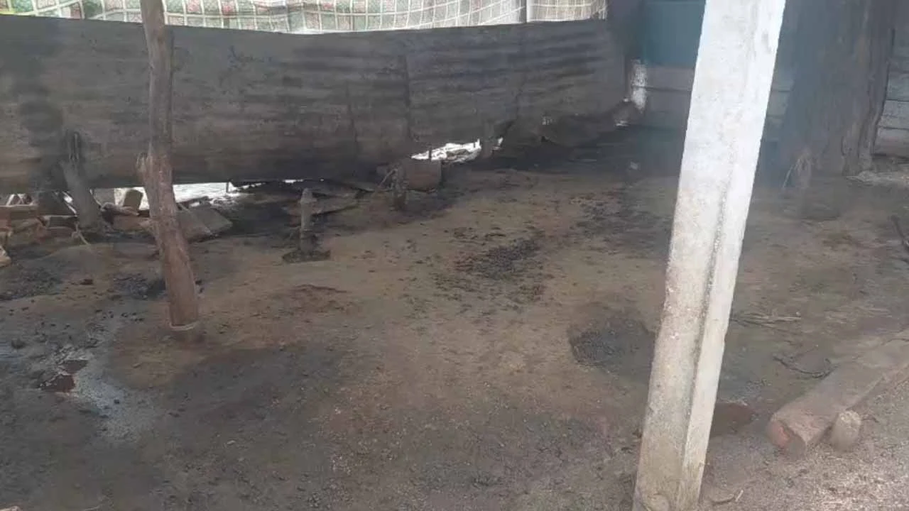 Goat theft in Sandha village of Shinor, Vadodara