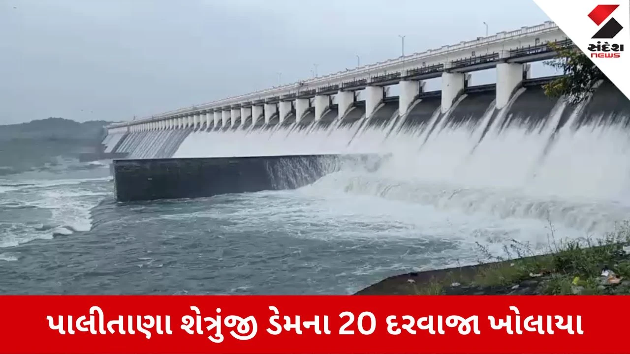 Bhavnagar News: પાલીતાણાના શેત્રુંજી ડેમના 20 દરવાજા 1 ફૂટ ખોલાયા, 15થી વધુ ગામોને કરાયા એલર્ટ