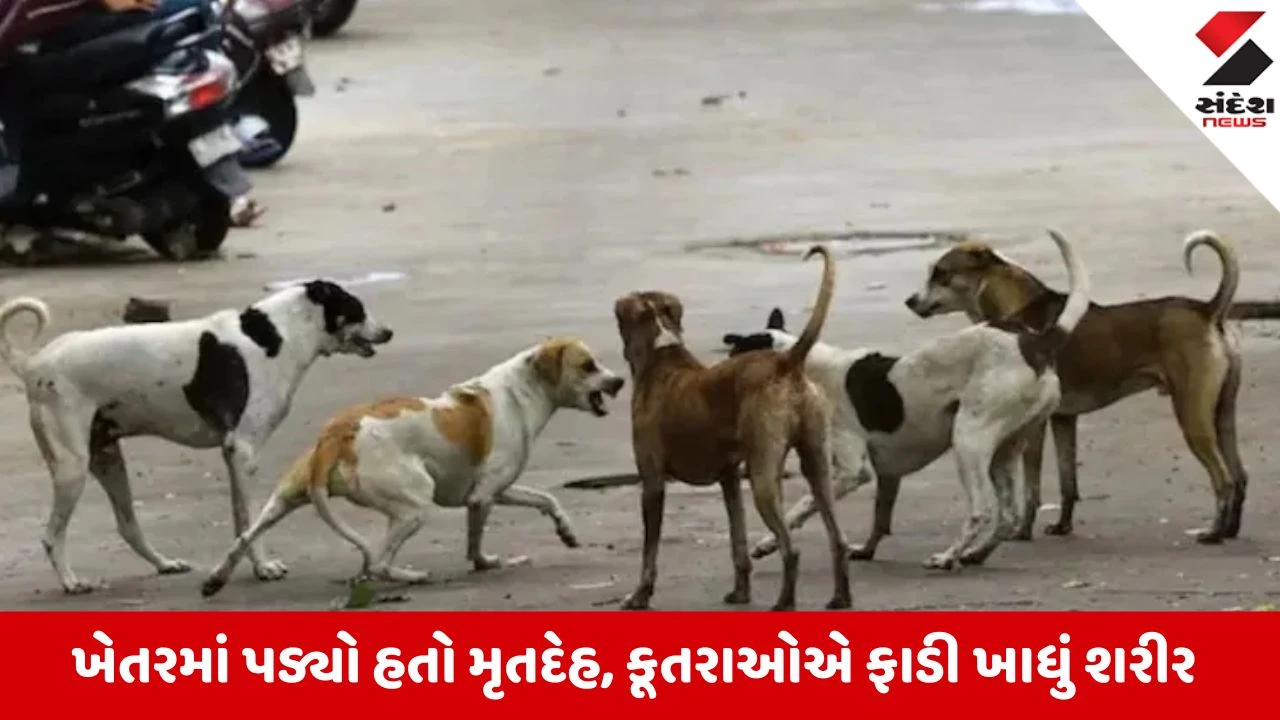 કૂતરાઓએ ફાડી ખાધો મૃતદેહ... 16 વર્ષની સગીરા પર સામૂહિક બળાત્કાર અને હત્યા; 4 લોકોને દબોચ્યા