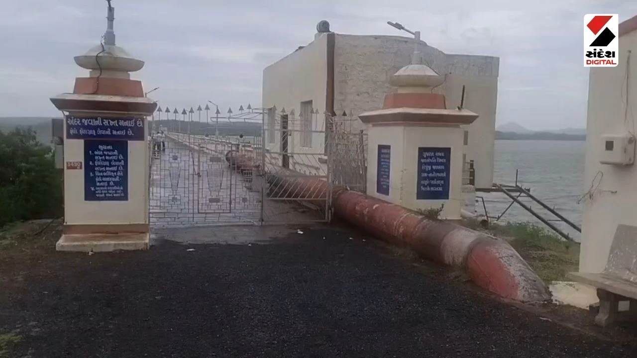 Bhavnagar News: Shetrunjai Dam Gates Opened: 20 Gates Raised in Palitana, 15 Villages on Alert