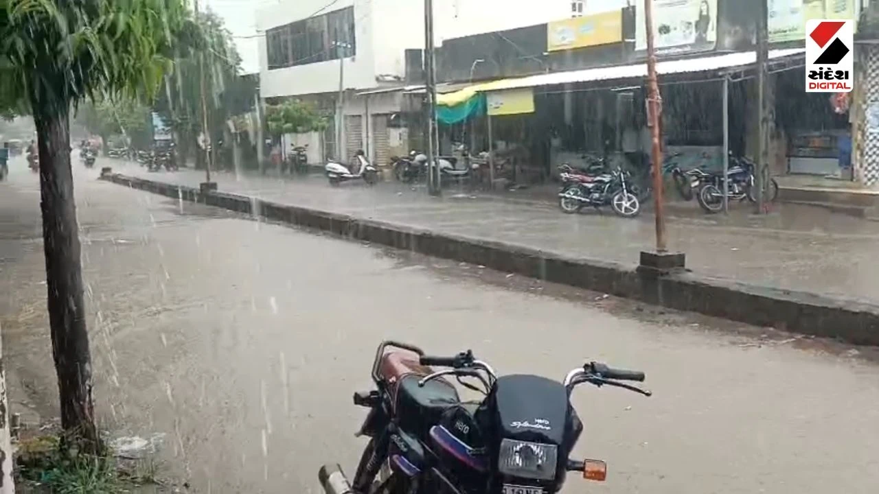 Junagadh Rain Update: Rain in Keshod Rural Areas: Peanut and Cotton Crops Revived