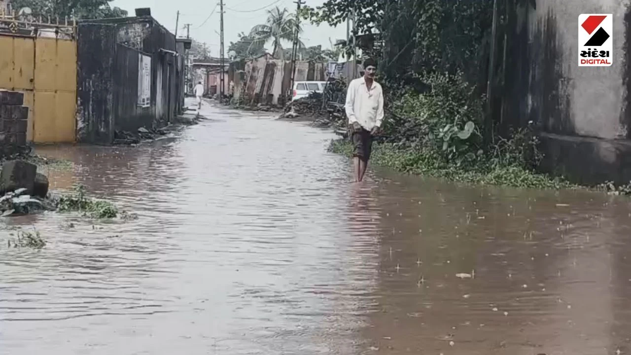 Junagadh Rain Update: Heavy Rain in Rural Areas of Maliyahatina and Mendarda