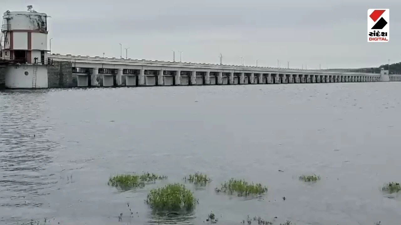 Bhavnagar News: Shetrunjai Dam Gates Opened: 20 Gates Raised in Palitana, 15 Villages on Alert