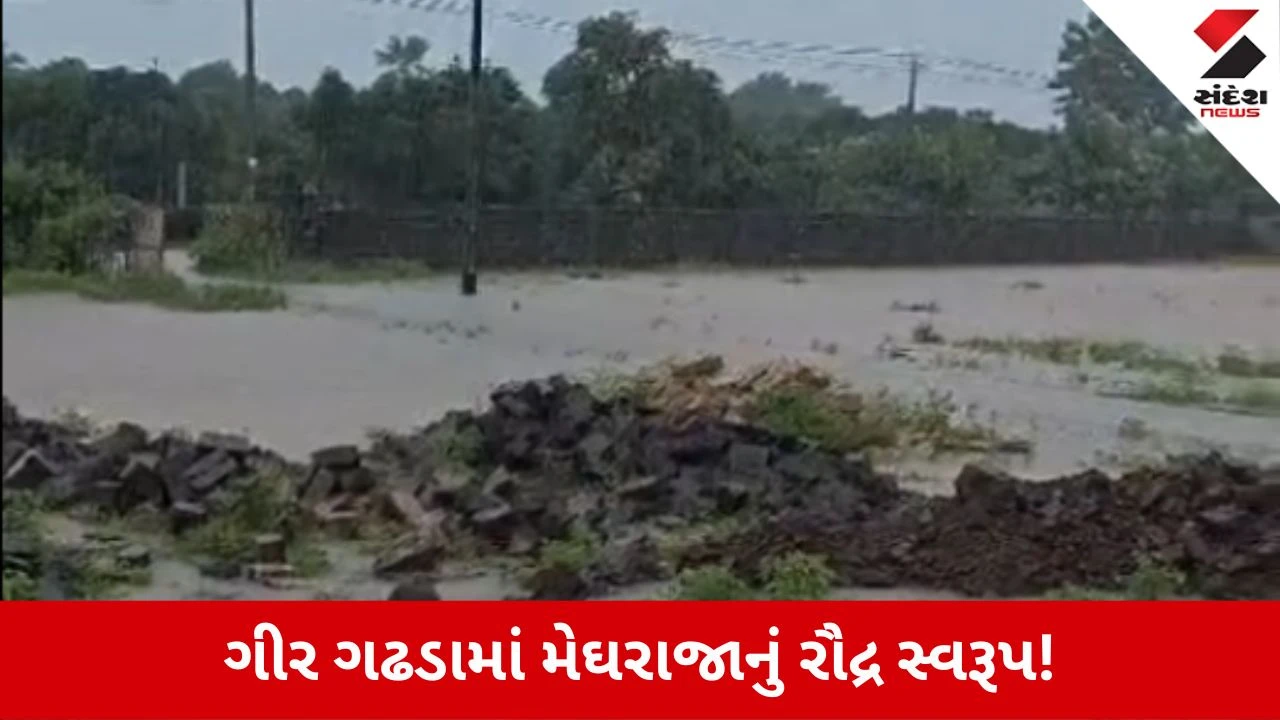 Gir Somnath Rain Update: ગીર ગઢડામાં 2 કલાકમાં 2 ઇંચ વરસાદથી જળબંબાકાર, જગતનો તાત ખુશખુશાલ
