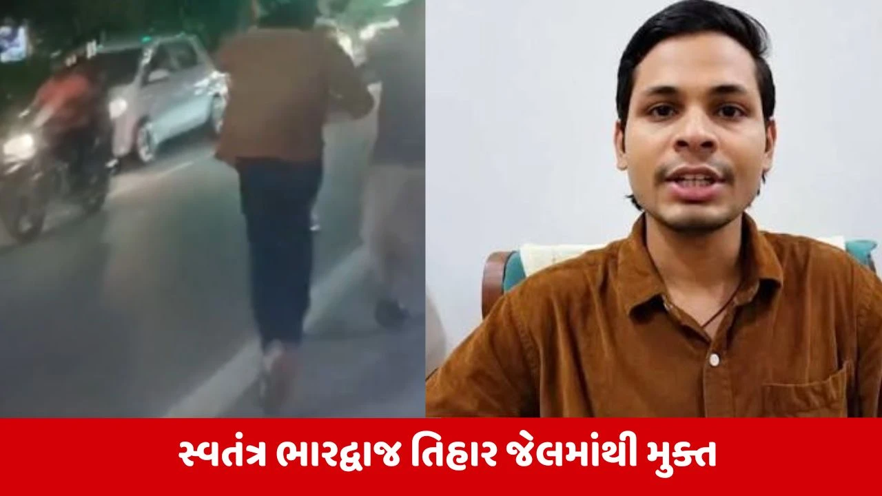 NEET Paper Leak:  જામીન મળ્યા બાદ તિહાર જેલ બહાર હાઈ-વોલ્ટેજ ડ્રામા, મીડિયાથી બચીને ભાગ્યા સ્વતંત્ર ભારદ્વાજ!