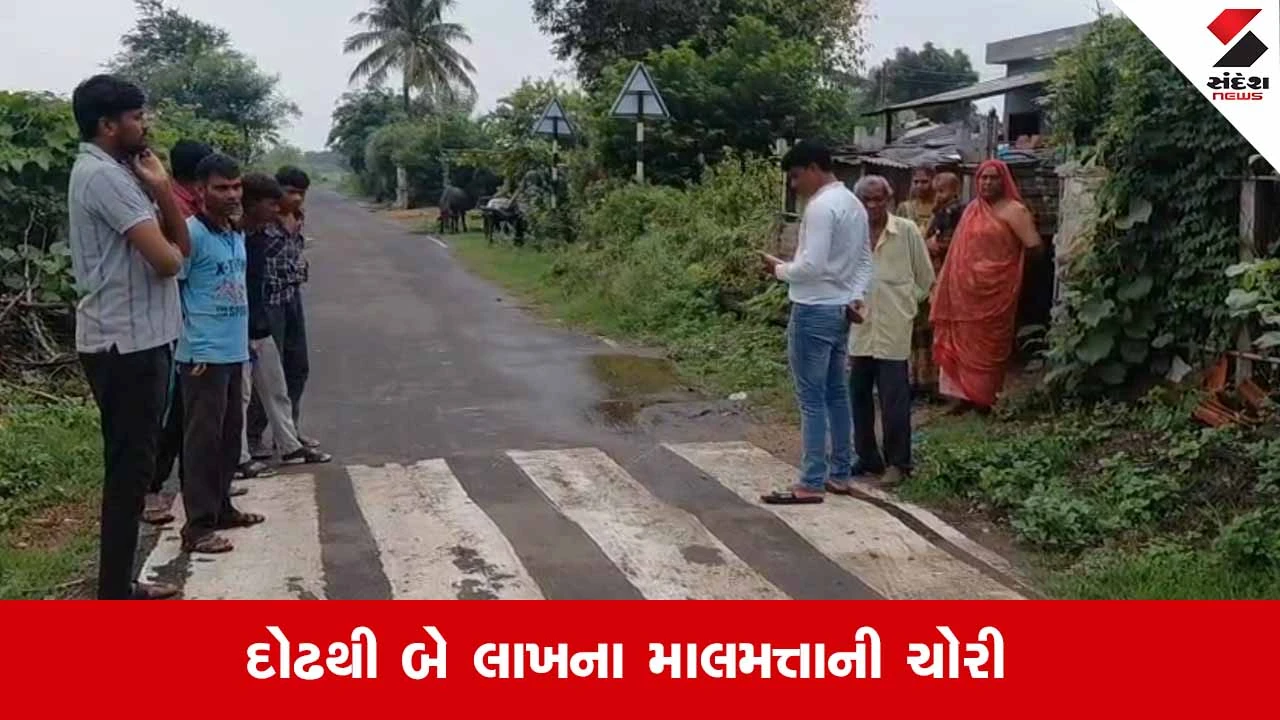 Vadodaraના શિનોરમાં ગરીબ પરિવારના 22 બકરાંની ચોરીથી ચકચાર!