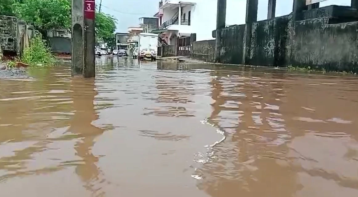અરવલ્લી