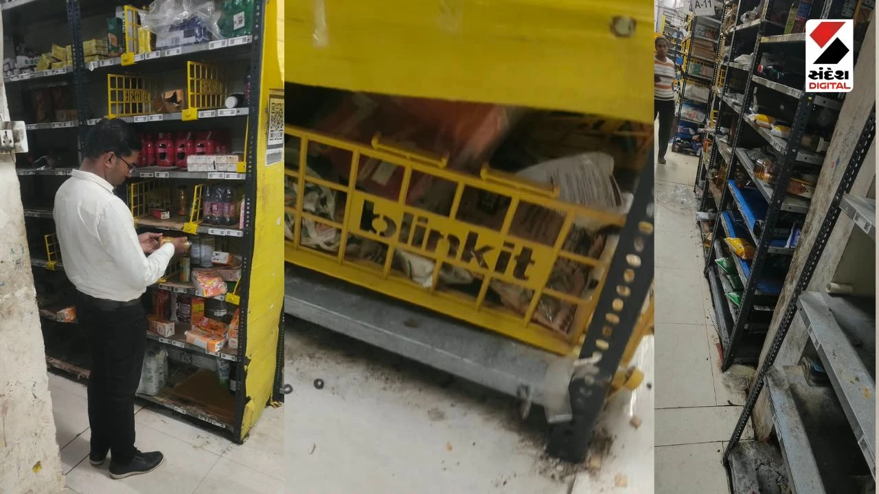 Gandhinagar News: Blinkit Store License Suspended in Raysan After Food Inspection