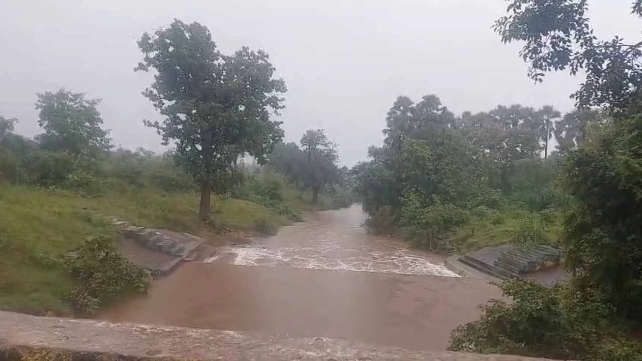 Rainy weather prevails in Panchmahal
