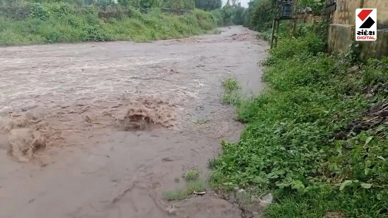 Gir Somnath Rain Update: Heavy Rain in Gir Gadhada, Receives Over 3 Inches of Rain
