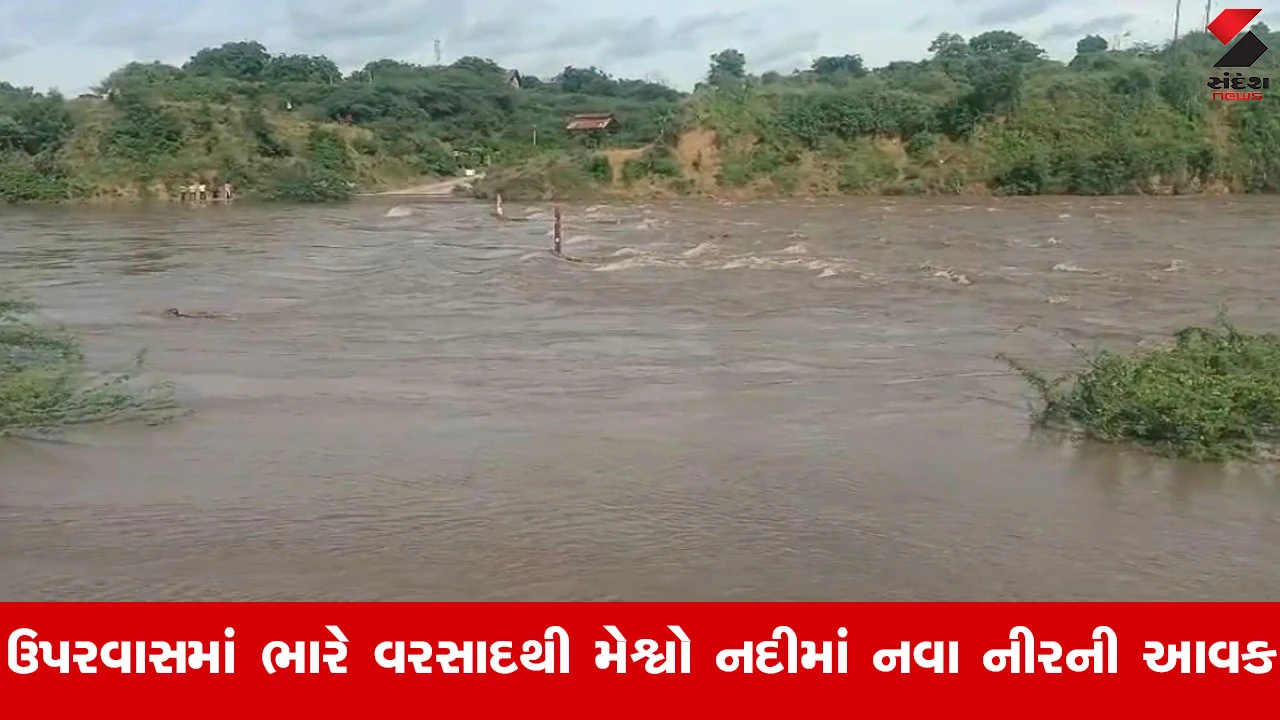 Sabarkanthaના તલોદમાં મેઘમહેર, ઉપરવાસમાં ભારે વરસાદથી મેશ્વો નદી બે કાંઠે વહી
