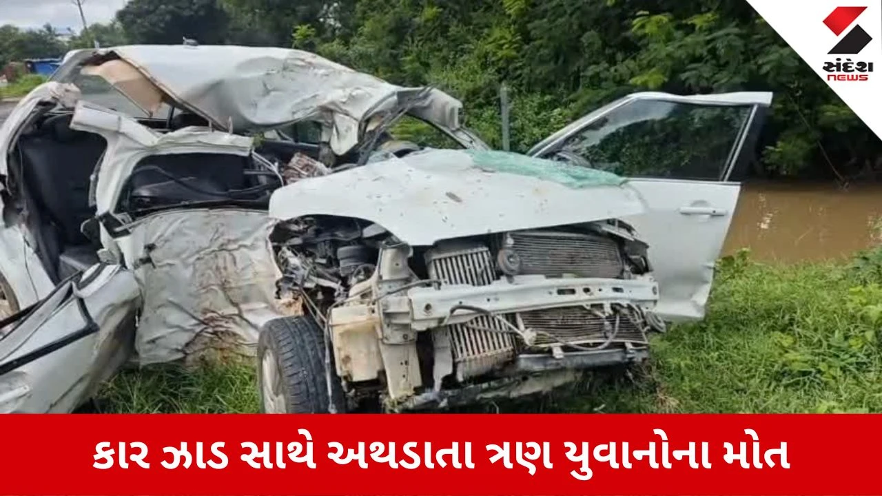 Valsad News: ઉમરગામમાં ભયંકર અકસ્માત, સ્વિફ્ટ કાર ઝાડ સાથે અથડાતા 3 યુવાનોના મોત, 2ની હાલત ગંભીર