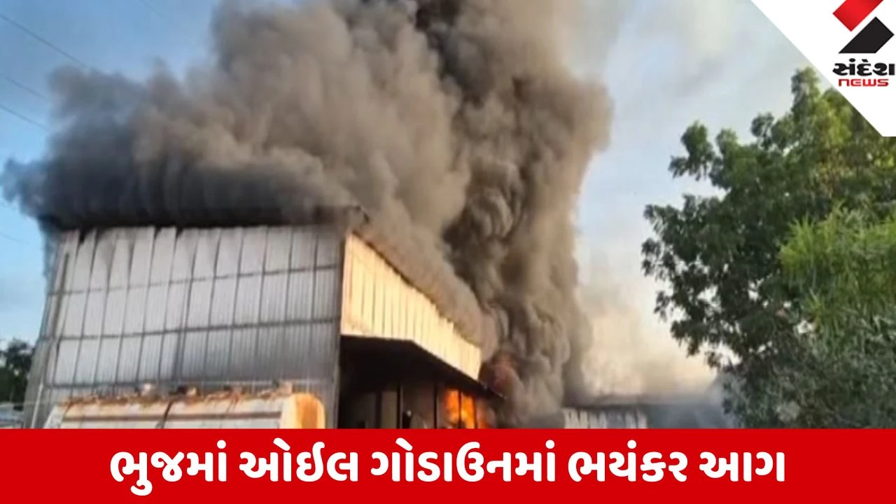 Bhuj: કુકમા પાસે રેલવે ફાટક નજીકના ઓઇલ ગોડાઉનમાં ભયંકર આગ; ધુમાડાના ગોટેગોટા દૂર-દૂર સુધી દેખાયા