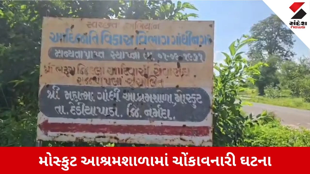 Narmada News: એક બાદ એક અચાનક ધૂણવા લાગ્યા 11 બાળકો, Video