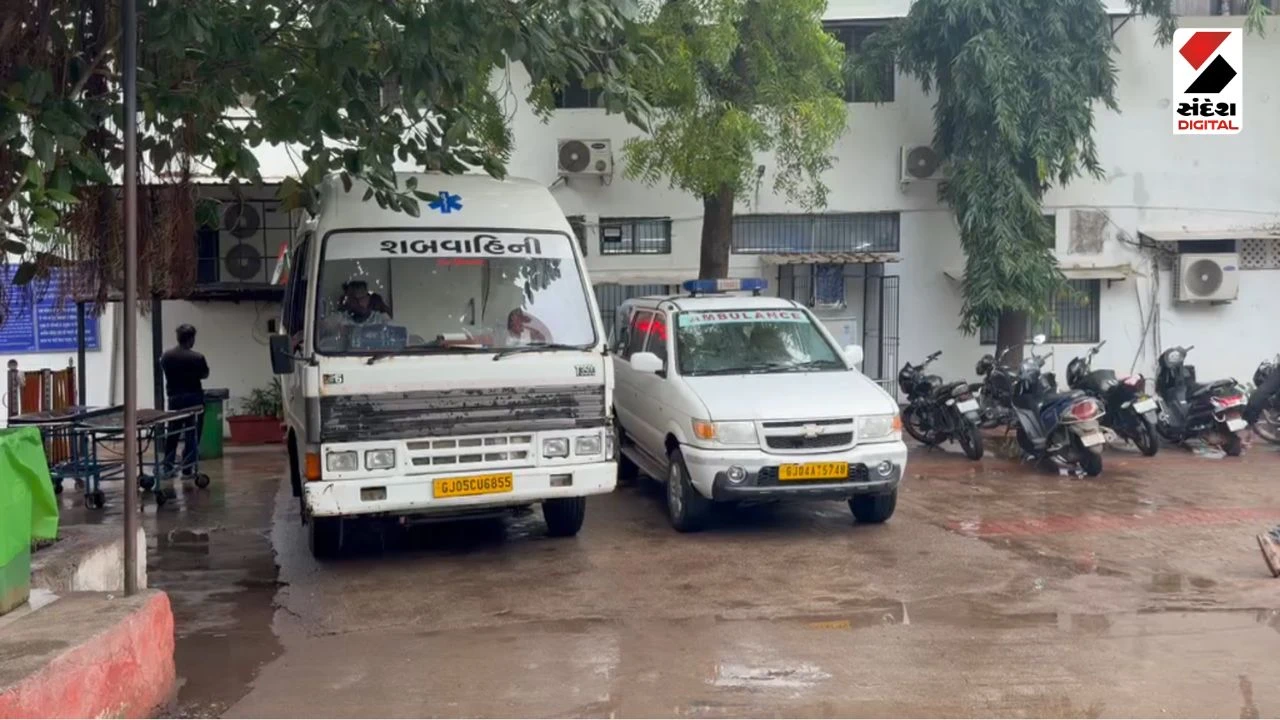 Surat News: Epidemic Outbreak: Two Deaths Reported Amid Rise in Vector-Borne Diseases