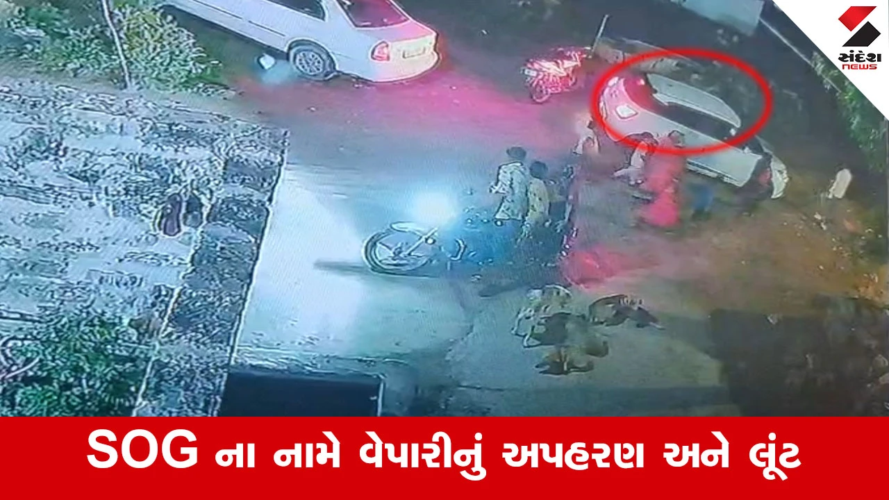 Gir Somnath News: પોલીસના નામે ગુંડાતત્વો બેફામ! ઉનાના વેપારીને ગાડીમાં પૂરી ઢોર માર માર્યો, લૂંટ ચલાવી ફરાર