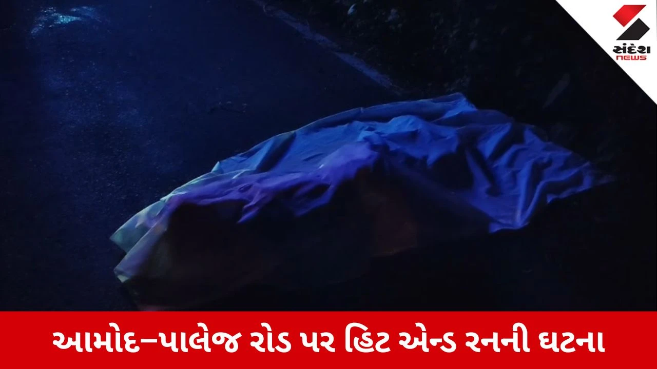 Bharuch News: આમોદ-પાલેજ રોડ પર હિટ એન્ડ રનની ઘટનામાં એકનું મોત