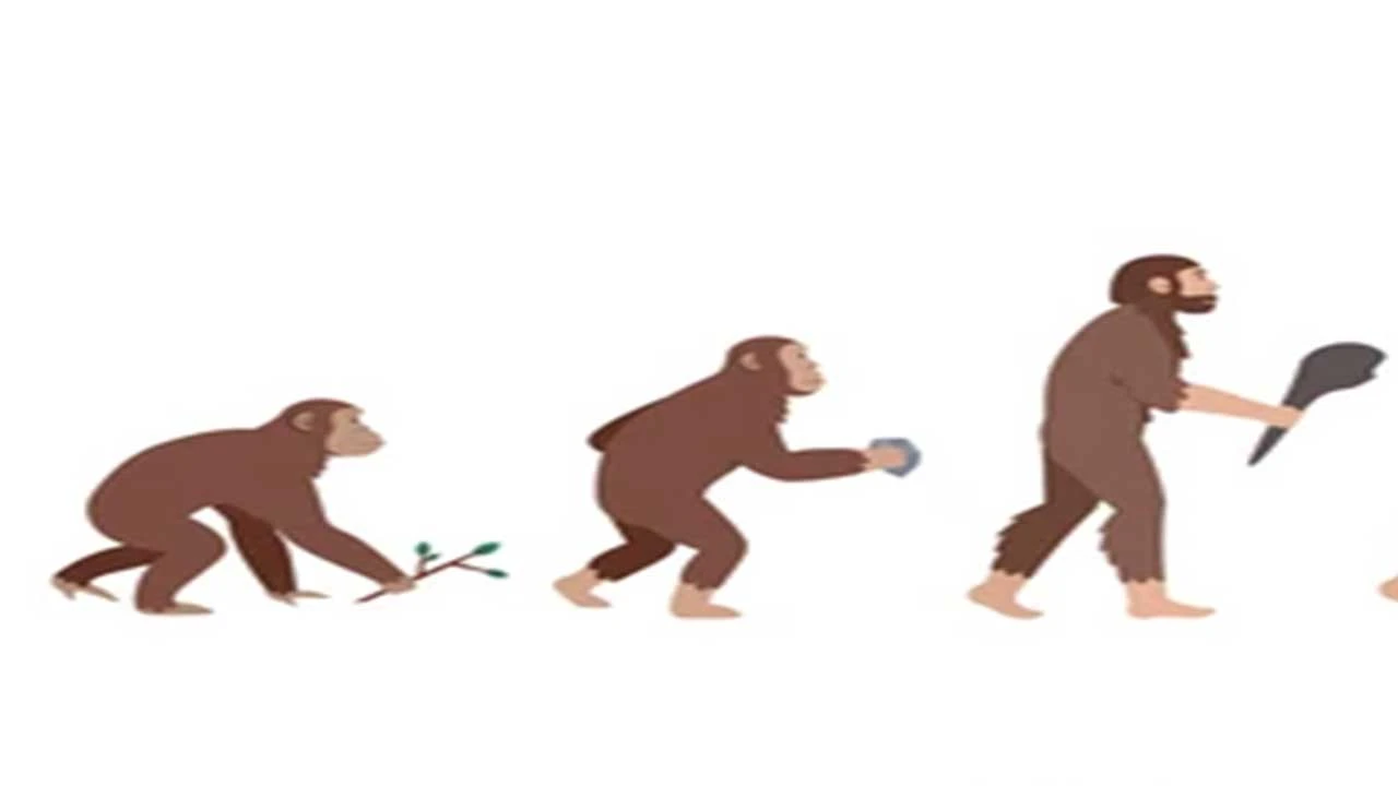 ઉત્ક્રાંતિ (Evolution) - એક સતત ચાલતી પ્રક્રિયા