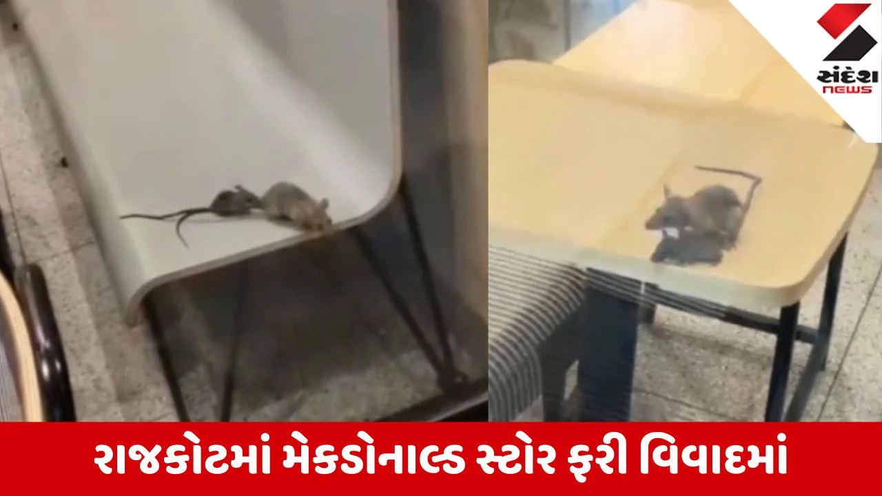 Rajkot: ગ્રીનલેન્ડ ચોકડી પાસેના મેકડોનાલ્ડ સ્ટોરમાં ઉંદરના આંટાફેરા; RMC ફૂડ વિભાગે બે ઉંદરના રૂ. 3000 લઈ સંતોષ માન્યો