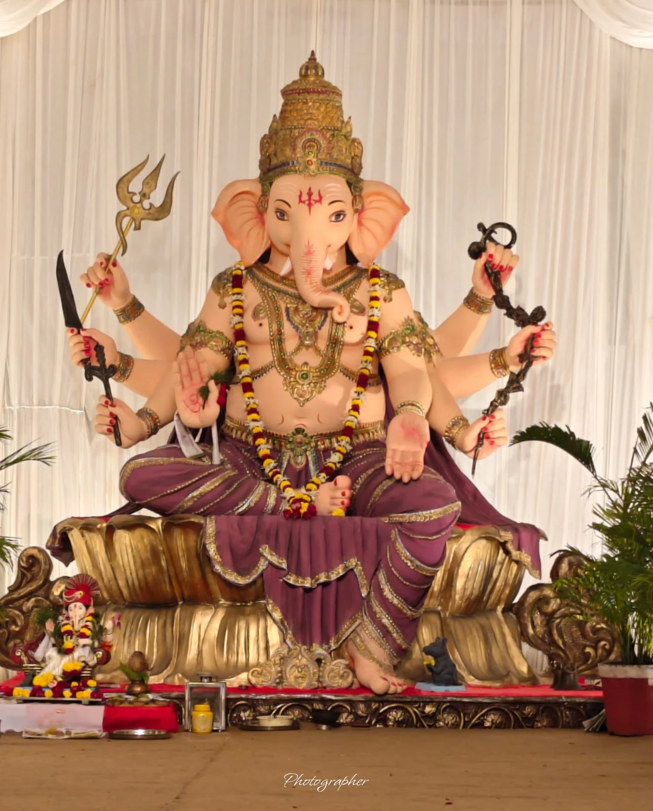 પાદરા ફૂલબાગ કા રાજા