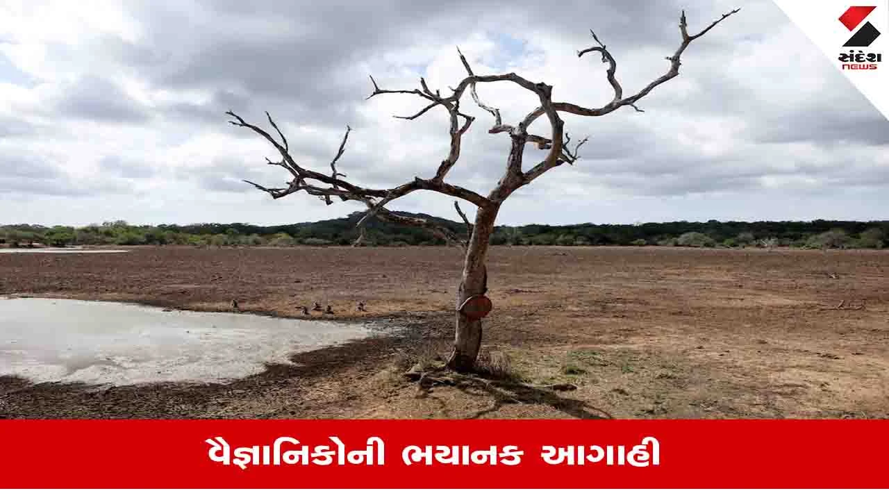 અલ નીનો: આગામી ૬ મહિનામાં લાખો લોકો પર સંકટ