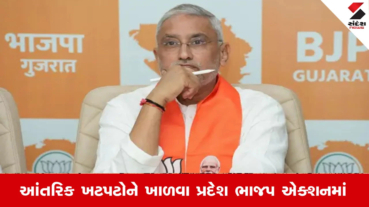 Ahmedabad News: ભાજપે આદિવાસી જિલ્લાના 3 પ્રમુખ બદલ્યા, હવે ઉત્તર ગુજરાત અને સૌરાષ્ટ્રનો વારો