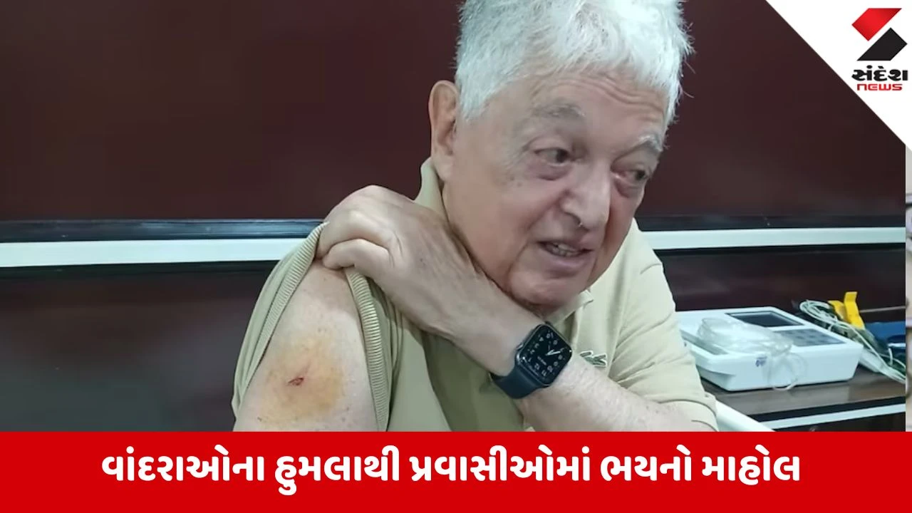 તાજમહેલમાં વાંદરાઓનો ત્રાસ: 83 વર્ષના બ્રાઝિલના પ્રવાસી પર હુમલો