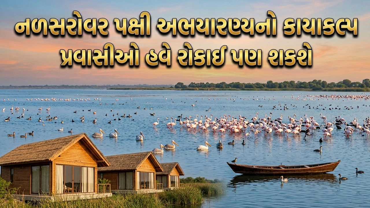Ahmedabad News: 15 ઓક્ટોબરથી પ્રવાસીઓ માટે નળ સરોવરના દરવાજા ખુલશે, જાણો કેવી રીતે મળશે પ્રવેશ