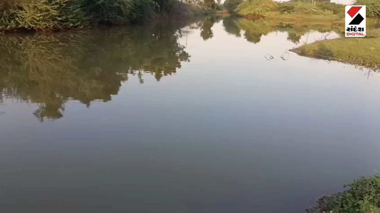 Amreli News: Four Youths Drown in Checkdam During Ganesh Visarjan in Mota Devaliya, Babra