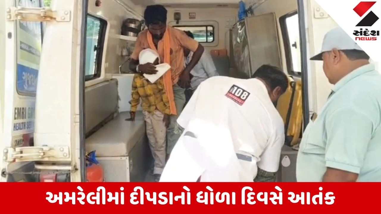 Amreli: હનુમાન ખીજડિયા ગામે 7 વર્ષના બાળક પર દીપડાનો હુમલો; પિતાએ રાડારાડ કરતાં બાળકને છોડી ભાગ્યો!