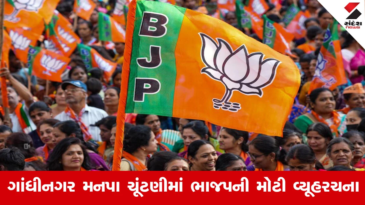 Gandhinagar News : ભાજપ માટે ચૂંટણી પ્રજા વચ્ચે જવાનો અવસર, શહેર ભાજપ અધ્યક્ષ આશિષ દવેનું મોટું નિવેદન