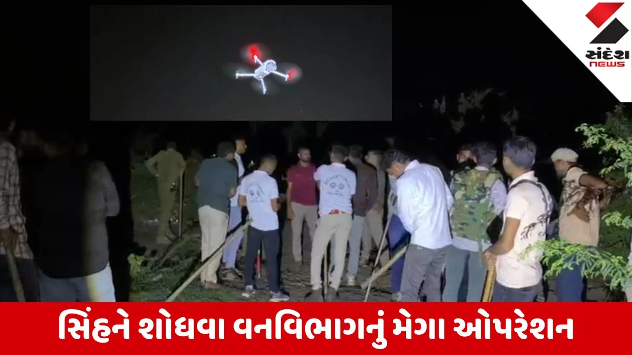 Amreli: રાજુલાના બારપટોળી સીમમાં વનકર્મચારી પર સિંહના હુમલા બાદ ડ્રોનથી મેગા સર્ચ ઓપરેશન