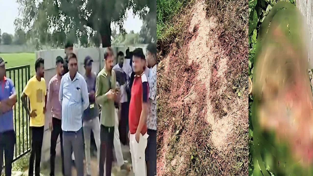 Dahegam : દહેગામના લક્ષ્મીપુરામાં ખેતરમાં કથિત ગૌવંશની કતલની ઘટનાથી ચકચાર