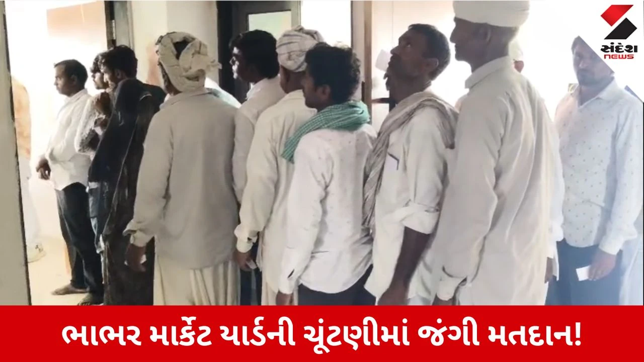 Vav Tharad News: ભાભર માર્કેટ યાર્ડની ચૂંટણીમાં 96.88 ટકા મતદાન નોંધાયું