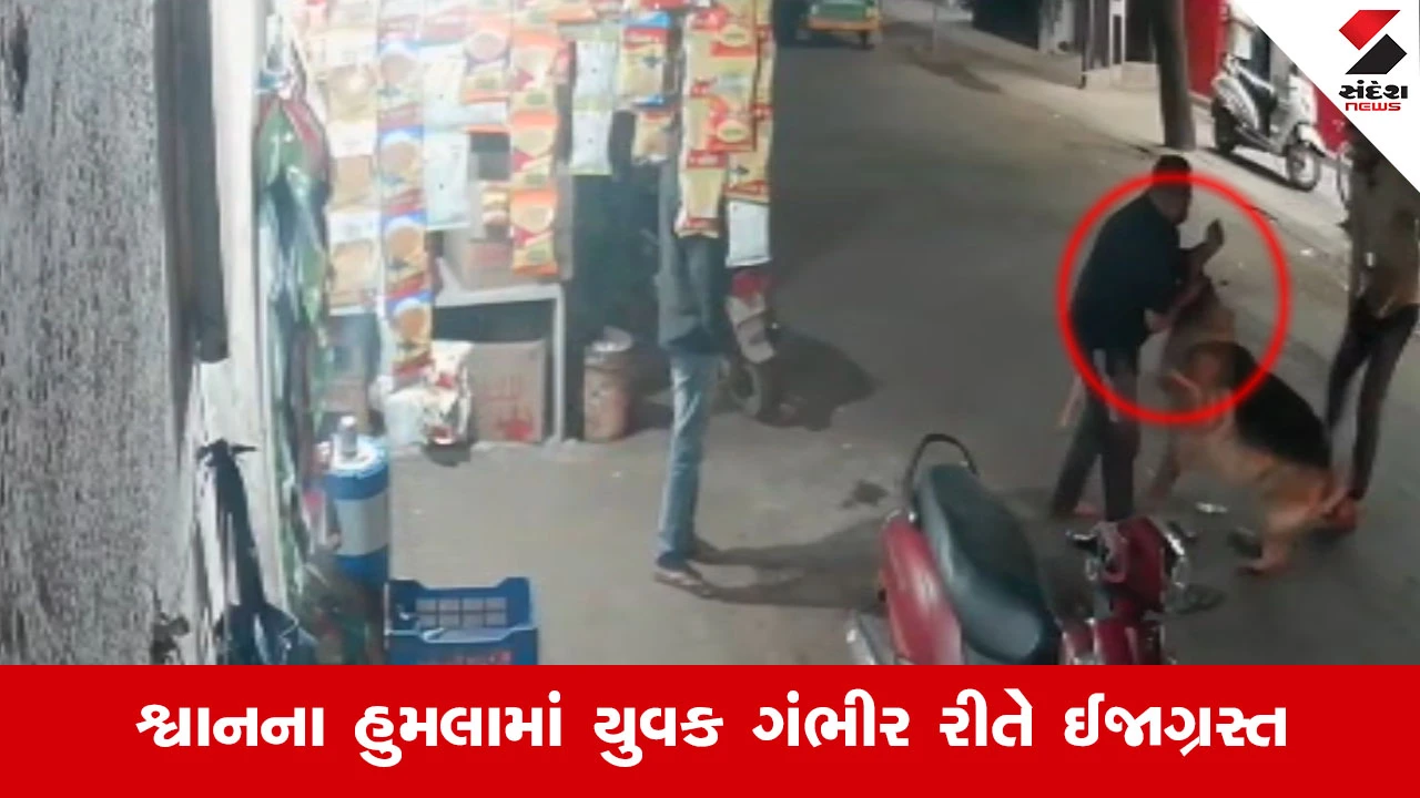 Rajkotમાં ચોંકાવનારો કિસ્સો સામે આવ્યો, યુવક પર શ્વાન અને તેના માલિકે મળીને કર્યો ઘાતક હુમલો!