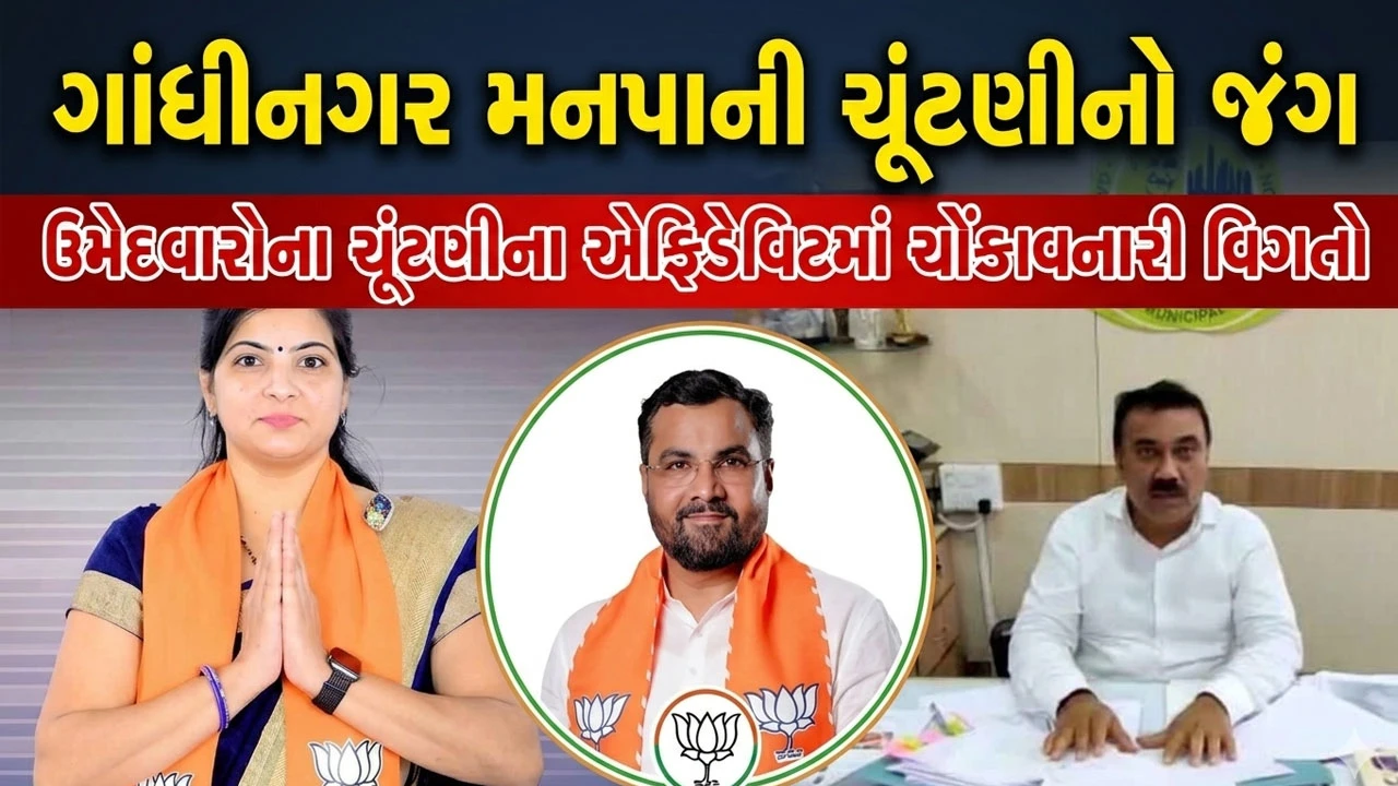 Gandhinagar News : મનપાની ચૂંટણીના ઉમેદવારો પાસે મંત્રીઓ કરતાં પણ વધુ સંપત્તિ, જાણો કોણે સૌથી વધુ સંપત્તિ જાહેર કરી?