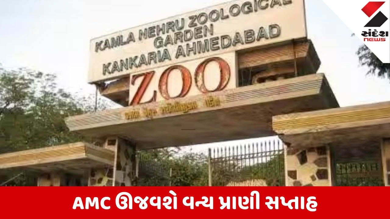 Ahmedabad: AMC ઊજવશે વન્ય પ્રાણી સપ્તાહ; કાંકરિયા ઝૂમાં 1 થી 7 ઓક્ટોબર દરમિયાન બાળકો માટે ફ્રી એન્ટ્રી
