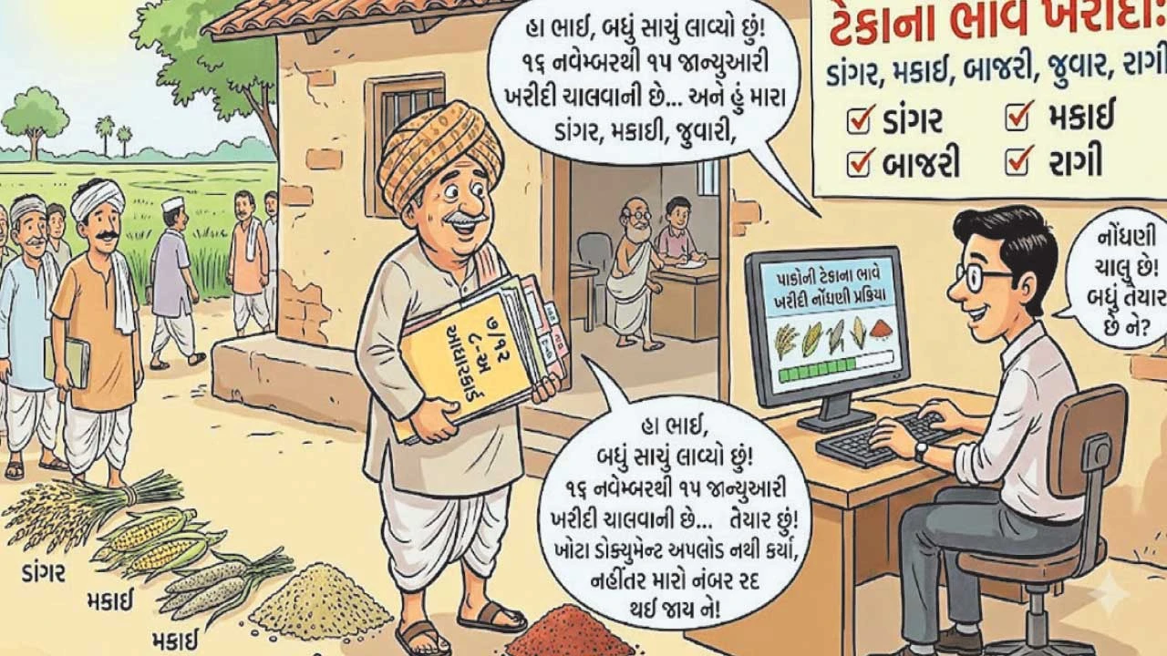 મહેસાણામાં ડાંગર, મકાઈ, બાજરી, જુવાર, રાગીની ટેકાના ભાવે ખરીદી