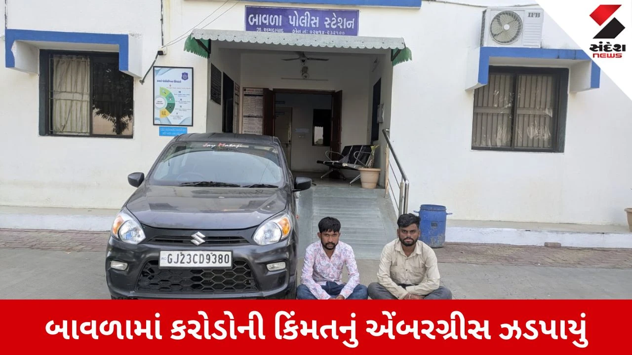 Ahmedabad News: બાવળામાંથી સ્ટેટ મોનિટરિંગ સેલે 4.35 કરોડની કિંમતનું એંબરગ્રીસ ઝડપ્યું